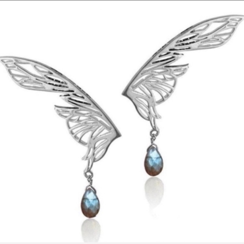 Labradorite & Sterling Silver Earrings by Eina Ahluwalia. (Soar Powerful)